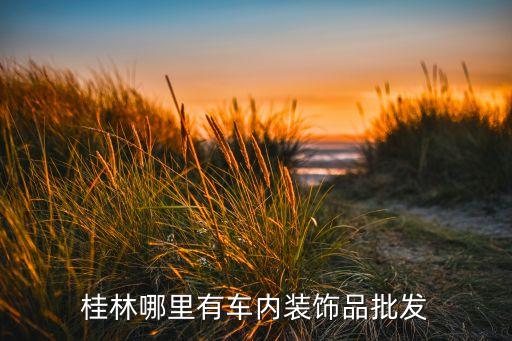 桂林哪里有车内装饰品批发