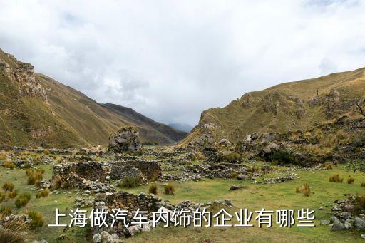 上海做汽车内饰的企业有哪些