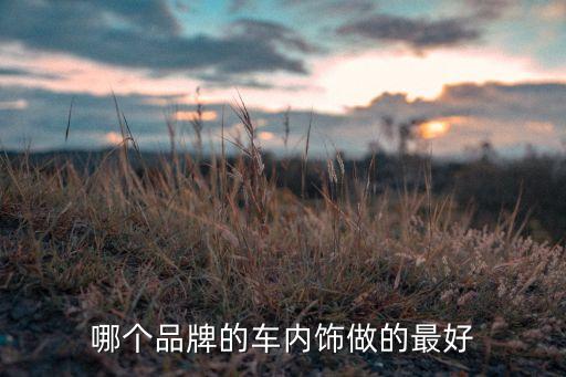 哪个品牌的车内饰做的最好