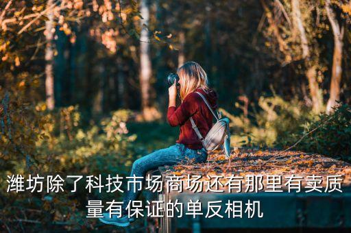 潍坊除了科技市场商场还有那里有卖质量有保证的单反相机