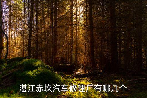 湛江哪里有汽车内饰修复，湛江市赤坎区哪里有汽车装饰店啊比如 汽车装饰条风挡贴纸 碳