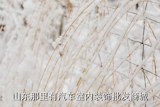 山东那里有汽车室内装饰批发商城