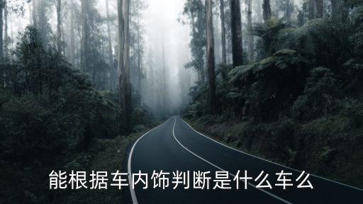 从汽车内饰判断什么车，能根据车内饰判断是什么车么