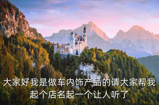 大家好我是做车内饰产品的请大家帮我起个店名起一个让人听了