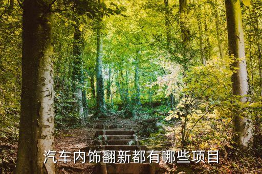 汽车内饰可以翻新哪些，汽车内饰翻新需要哪些材料