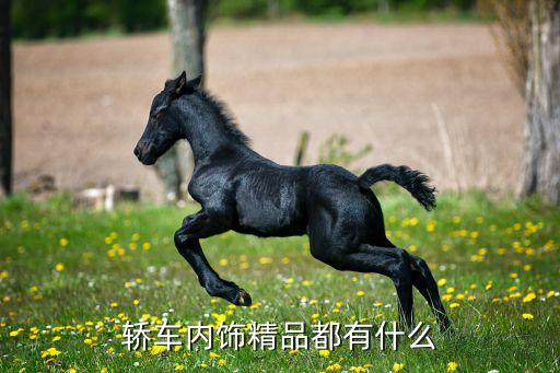 汽车内饰精致功能有哪些，轿车内饰精品都有什么