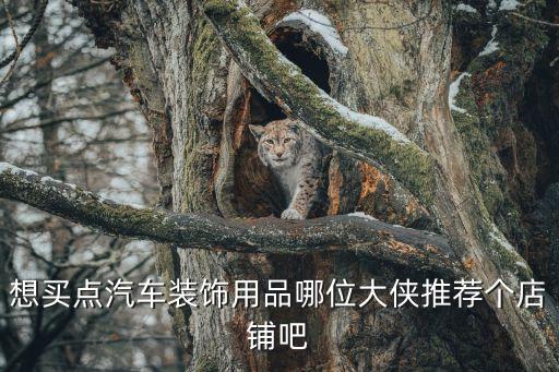 想买点汽车装饰用品哪位大侠推荐个店铺吧