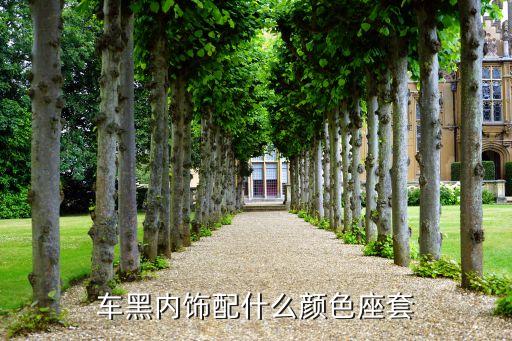 汽车内饰黑色配什么颜色，黑色glc内饰要什么颜色