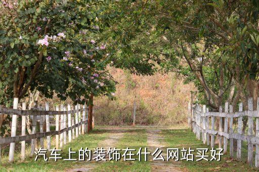汽车上的装饰在什么网站买好