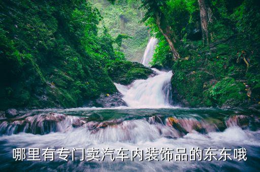 泊头哪里有卖汽车内饰，哪有卖汽车内饰