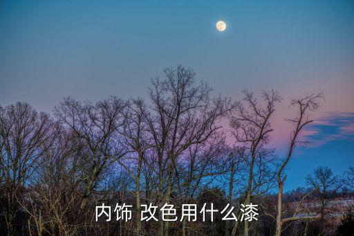 汽车内饰鹿茸改色什么原理，内饰 改色用什么漆