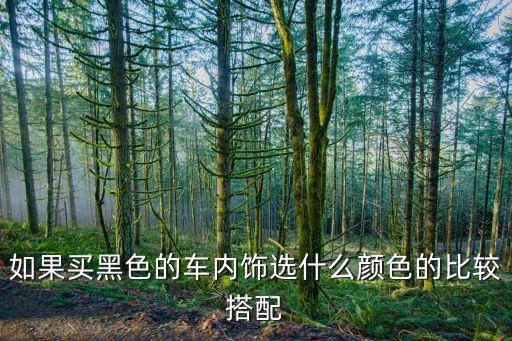 如果买黑色的车内饰选什么颜色的比较搭配
