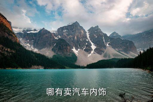 哪有卖汽车内饰
