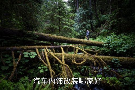佳县哪里有汽车内饰改装，汽车内饰翻新哪家好