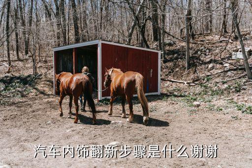 汽车内饰翻新步骤是什么谢谢