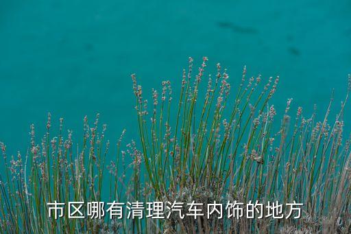 市区哪有清理汽车内饰的地方