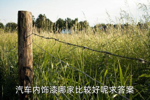 汽车内饰漆哪家比较好呢求答案