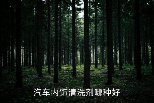 汽车内饰清洗剂哪种好