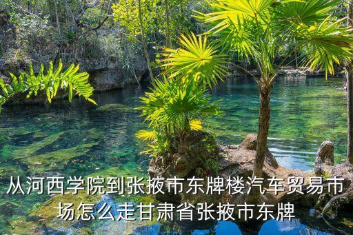 从河西学院到张掖市东牌楼汽车贸易市场怎么走甘肃省张掖市东牌