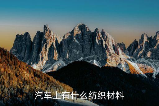 汽车上有什么纺织材料