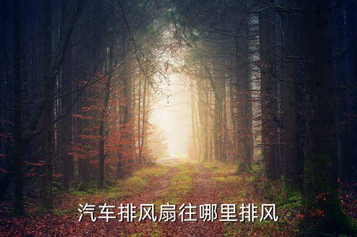 汽车排风扇往哪里排风