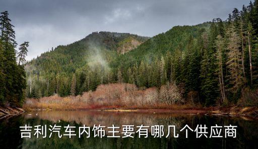吉利汽车内饰主要有哪几个供应商