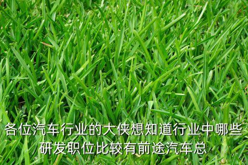 汽车内外饰研发哪个方向好，车内饰品金钱豹豹头朝哪个方向好