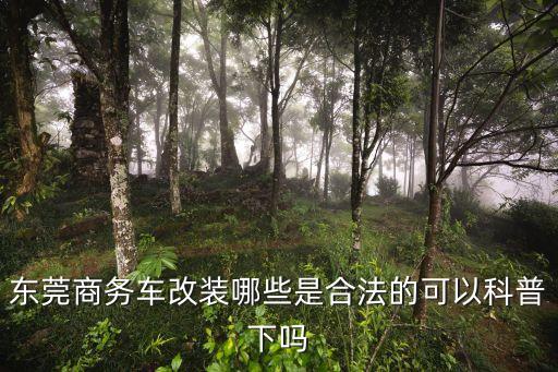 东莞汽车内饰改装厂有哪些，东莞汽车内饰升级哪个厂家可以做怎么样