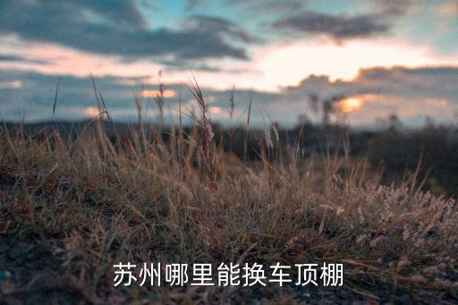 苏州哪里能换车顶棚