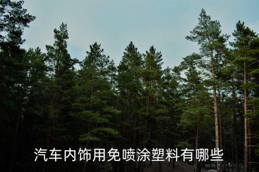 汽车内饰用到哪些塑料，汽车内饰都用什么材质的塑料其硬度抗伤害程度如何有何特点