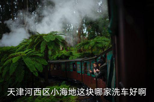 天津哪里清洗汽车内饰好，天津清洗汽车内饰哪里最好价格又适当
