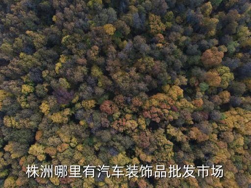 株洲哪里有汽车装饰品批发市场