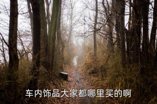 车内饰品大家都哪里买的啊