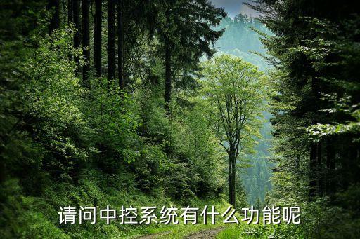 汽车内饰中控屏功能有哪些，一般汽车的中控屏有什么用