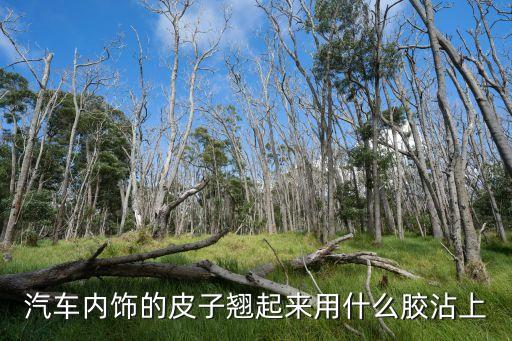 汽车内饰皮革用什么胶粘，汽车内饰的皮子翘起来用什么胶沾上