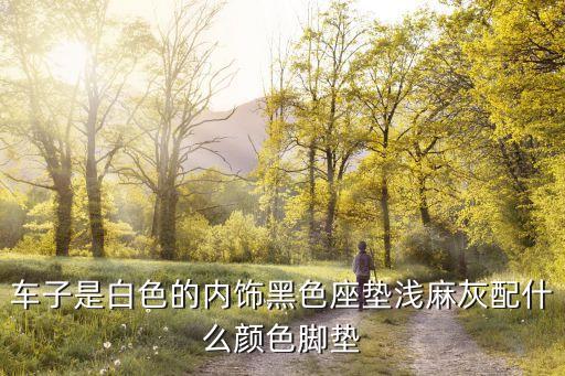 车子是白色的内饰黑色座垫浅麻灰配什么颜色脚垫