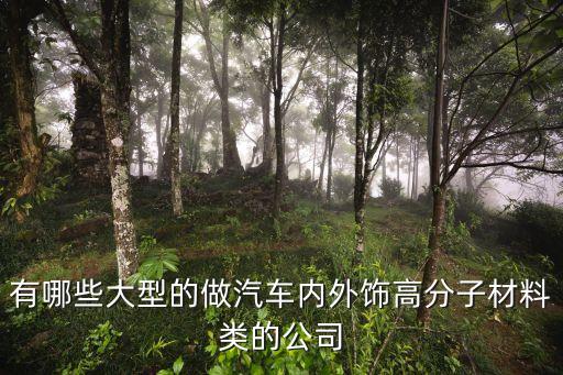 有哪些大型的做汽车内外饰高分子材料类的公司