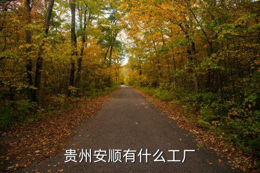 贵州安顺有什么工厂