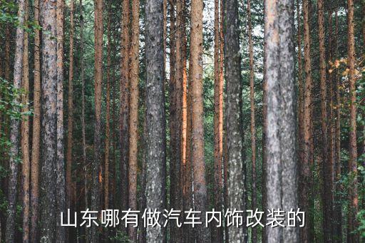 山东哪有做汽车内饰改装的