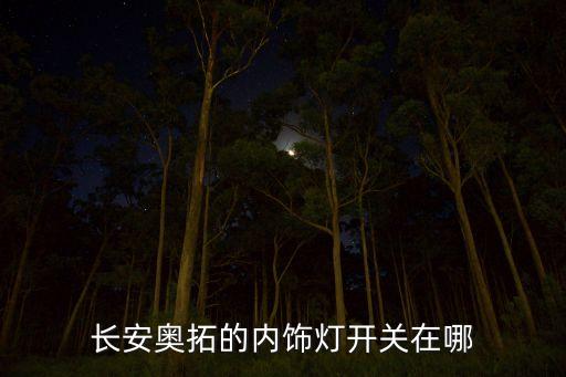 汽车内饰5个灯在哪里关，长安奥拓的内饰灯开关在哪