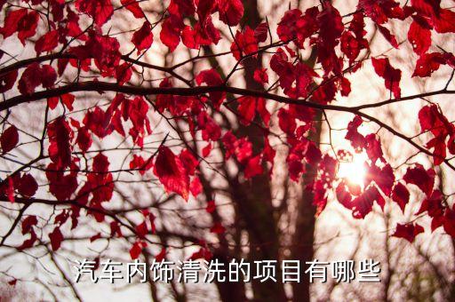 汽车内饰清洗的项目有哪些