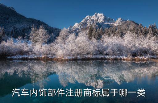汽车内饰部件注册商标属于哪一类