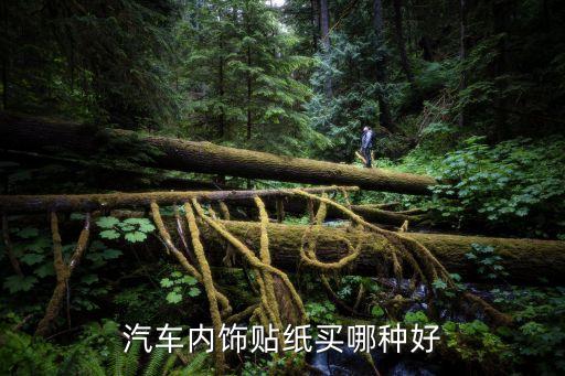 汽车内饰贴纸买哪种好