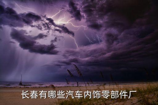 长春哪里汽车内饰能烘干，长春烘干机哪里卖