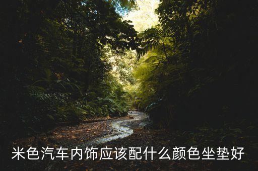 米色汽车内饰应该配什么颜色坐垫好