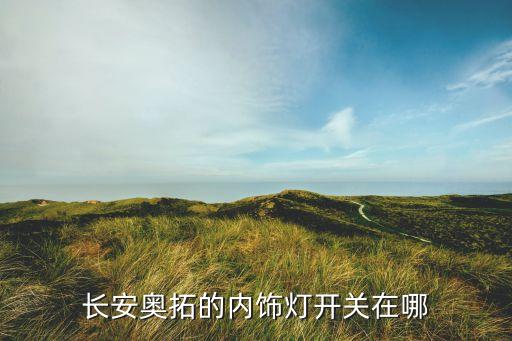 汽车内饰灯是哪个键的功能，长安奥拓的内饰灯开关在哪
