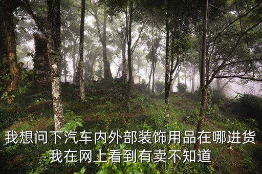 我想问下汽车内外部装饰用品在哪进货我在网上看到有卖不知道