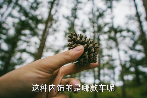 奇形怪状的汽车内饰叫什么，请问这是什么车的内饰原谅只有黑夜图急在线等