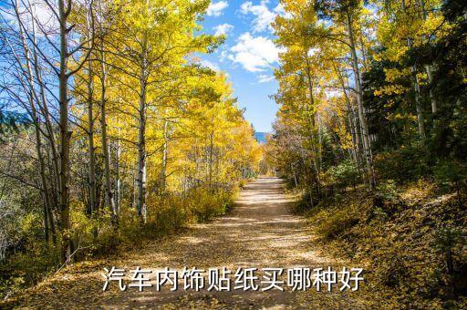 汽车内饰贴纸买哪种好