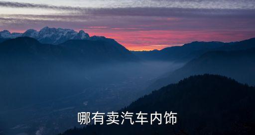 哪有卖汽车内饰
